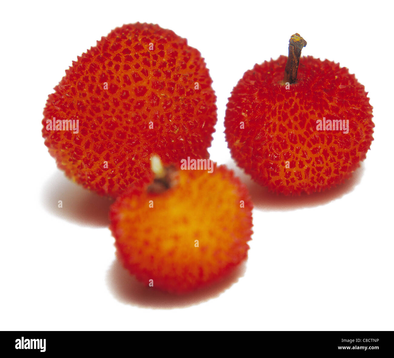 arbutus berries Stock Photo Alamy