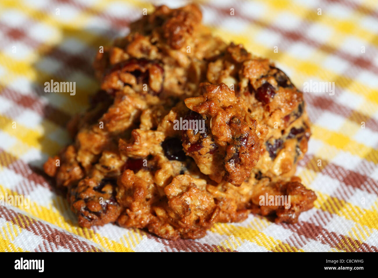 A freshly baked oatmeal cookie. Stock Photo