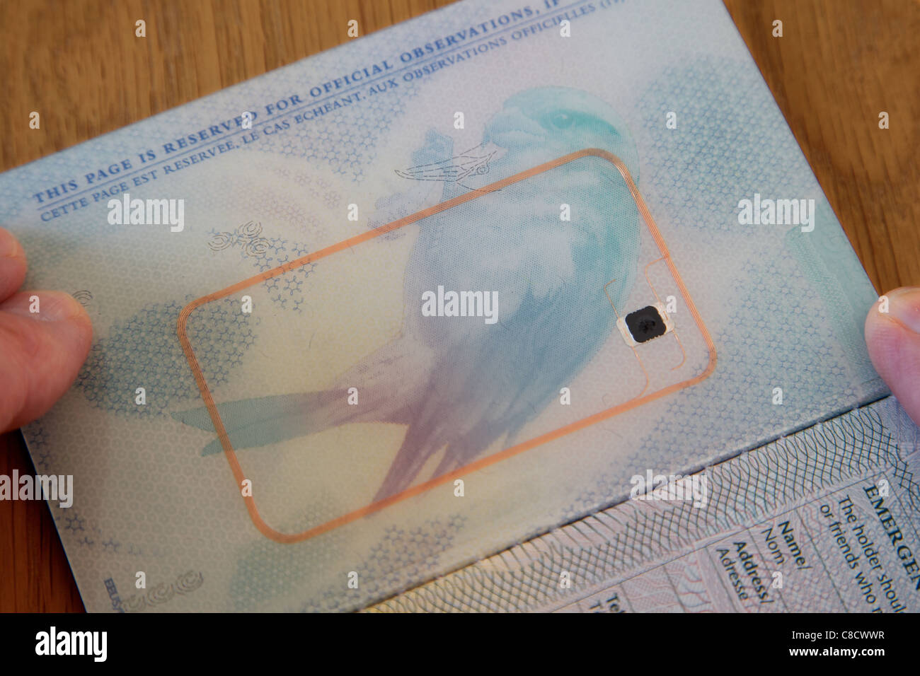 The chip on a biometric passport, also known as an e-passport or ePassport, England Stock Photo