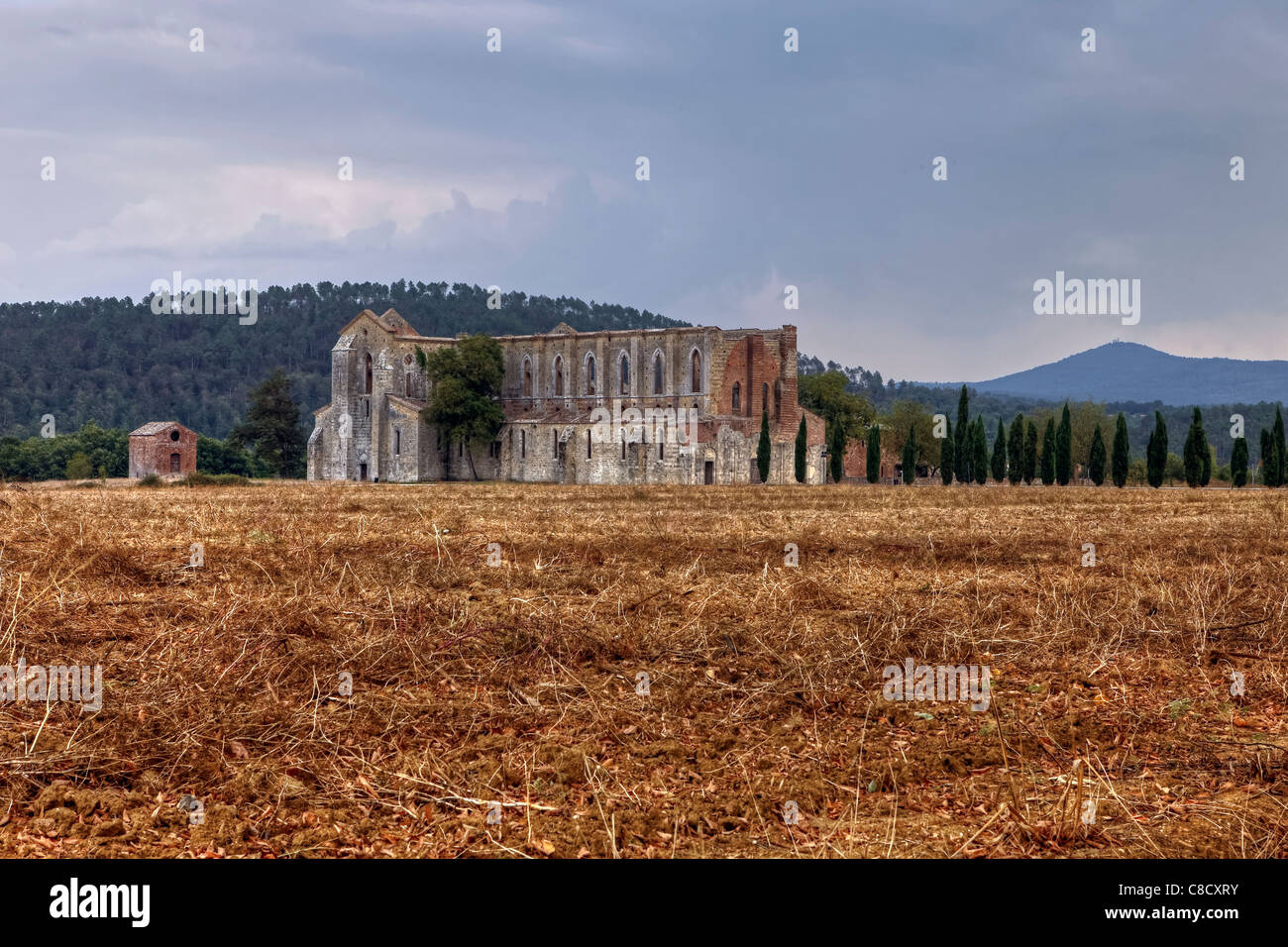 The Cistercian Abbey of San Galgano in Tuscany Stock Photo