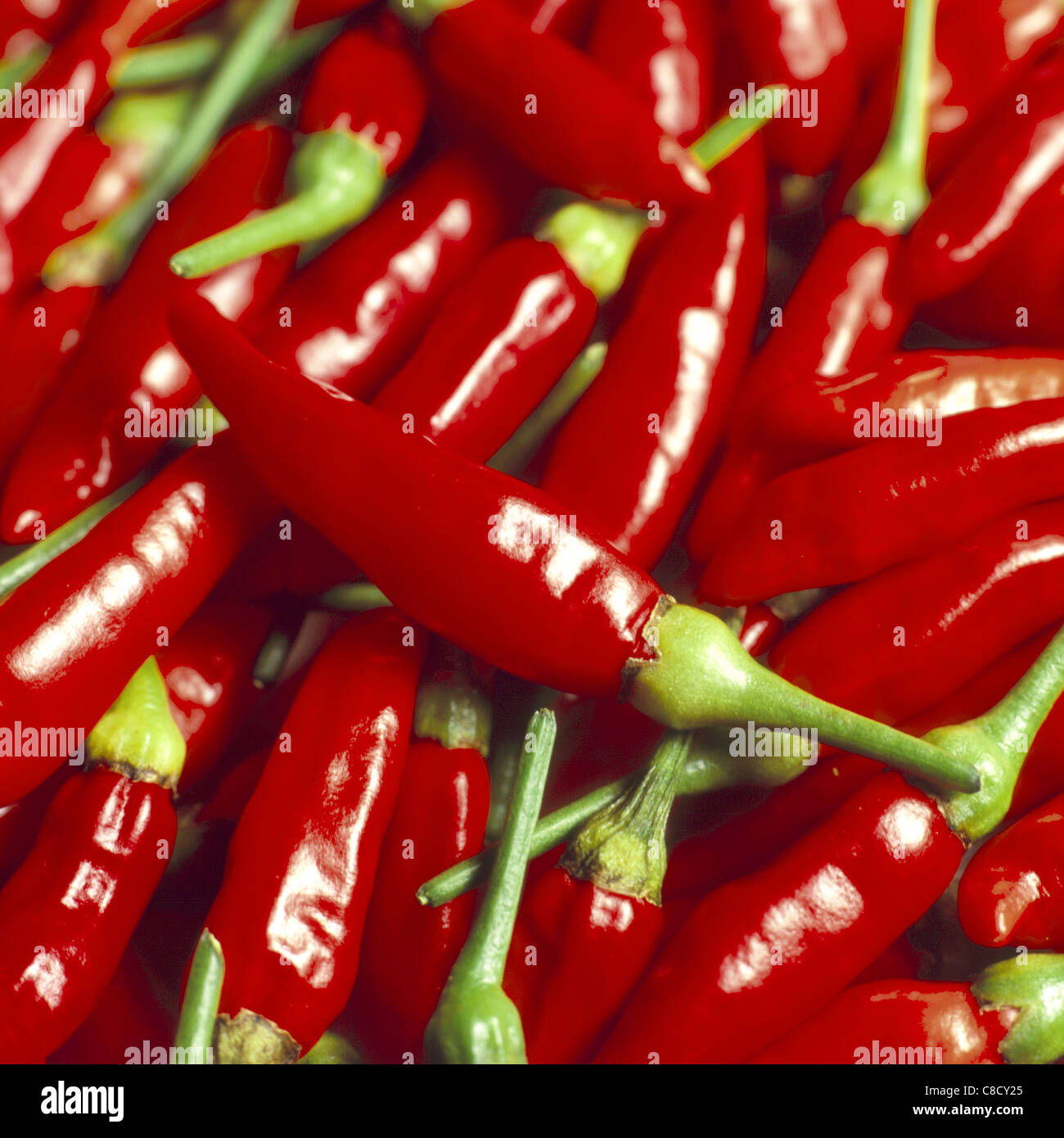 Chilli Peppers Stock Photo