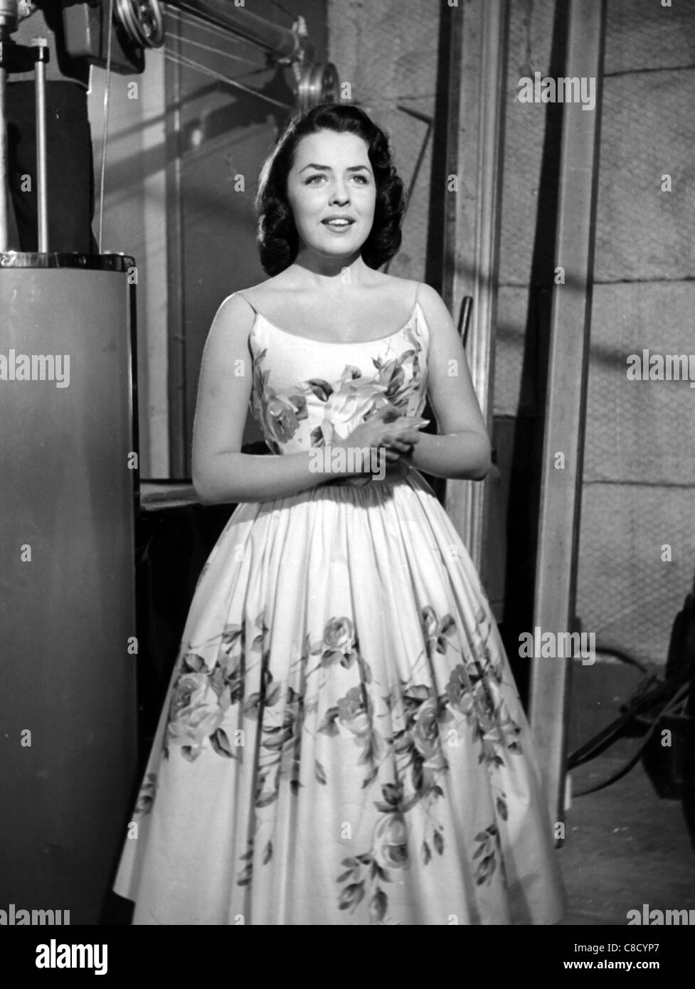Diane Todd