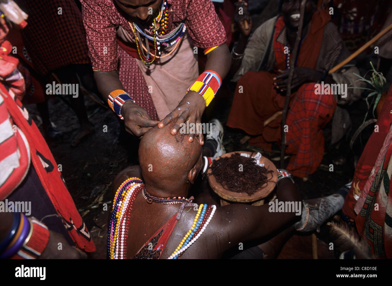 Lolgorian, Kenya. Siria Maasai; Eunoto ceremony; moran having his braided hair shaved off by a woman. Stock Photo