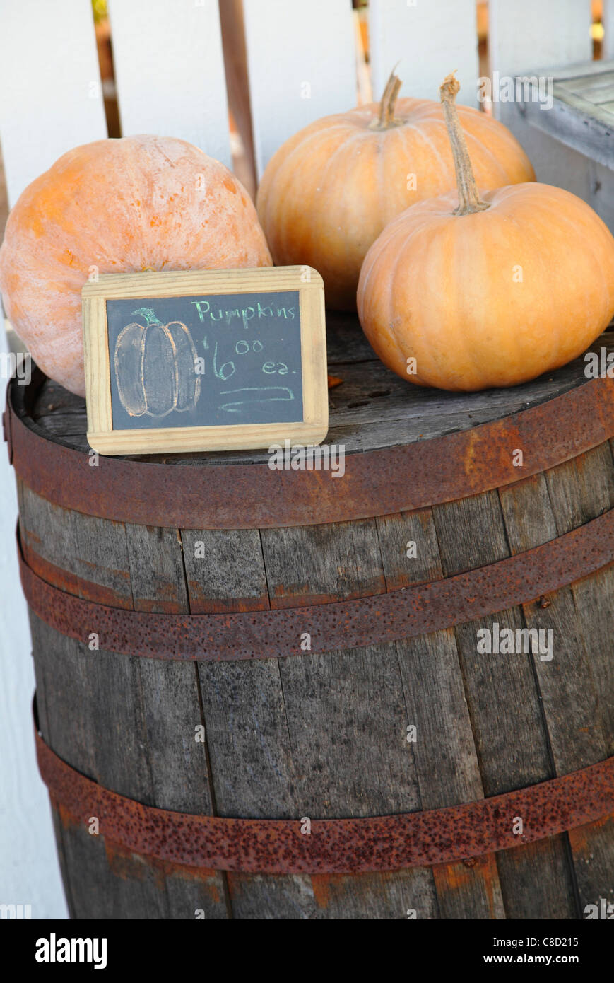 Pumpkins for sale, Winston-Salem, North Carolina, USA Stock Photo