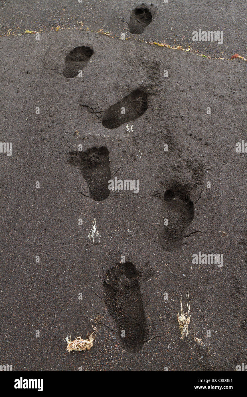 Footprints in the black lava sand beach at Mosteiros, Azores. Stock Photo