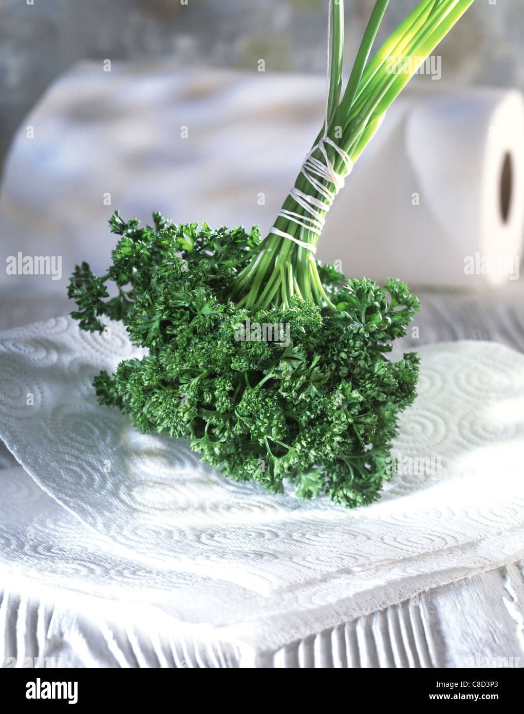 Bunch of curly parsley Stock Photo Alamy