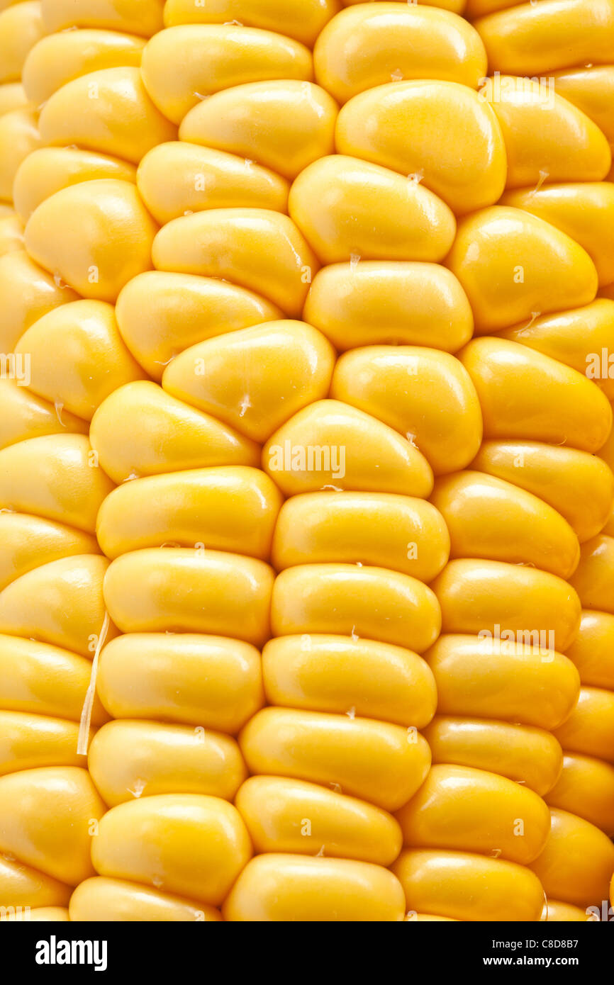 Close-up shot of corn. Stock Photo