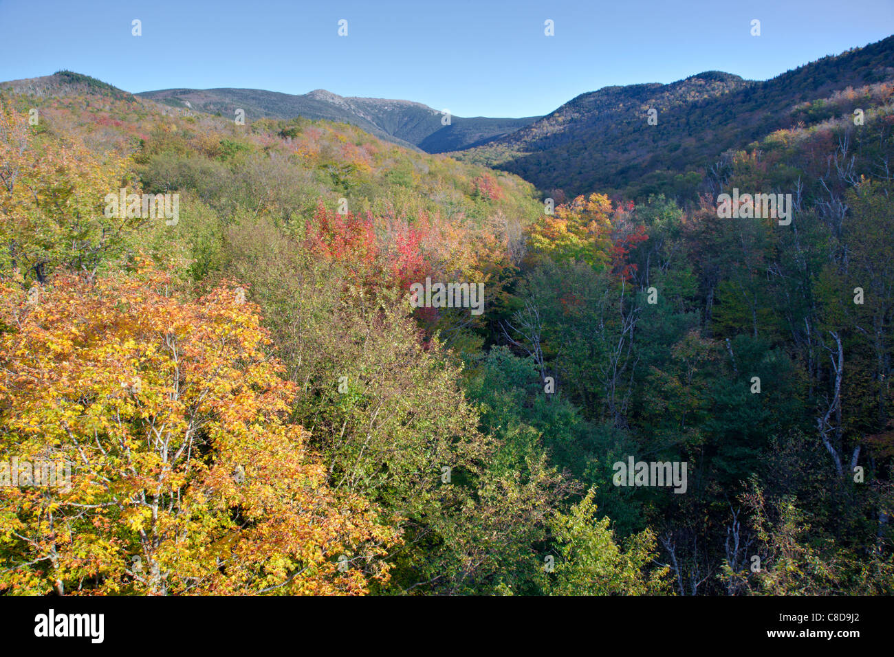 Lafayette Brook Scenic Area during the autumn months in the White Mountains, New Hampshire USA Stock Photo
