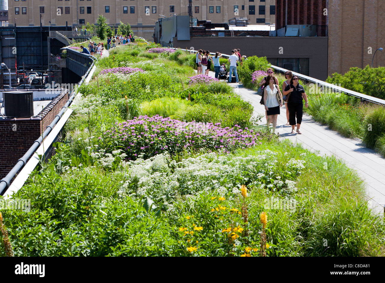 People walking and enjoying The New York City High Line Park Stock ...