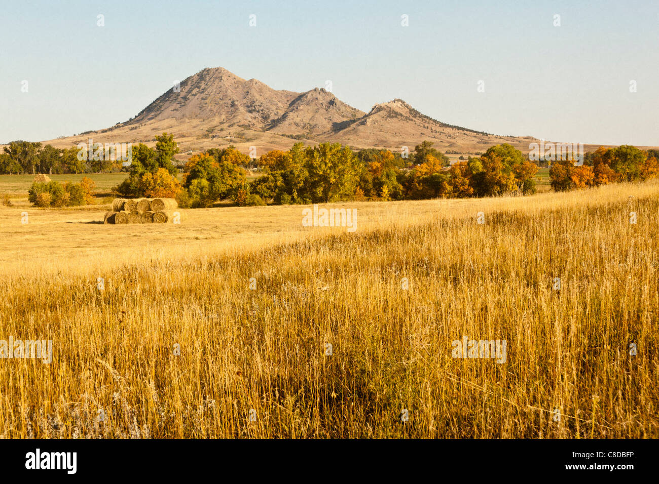 Bales of hay in a field in front of Bear Butte, South Dakota Stock