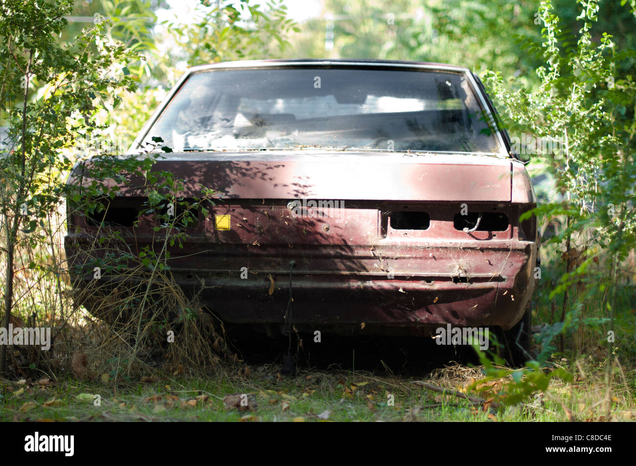Old, broken car between green bushes and forests Stock Photo - Alamy