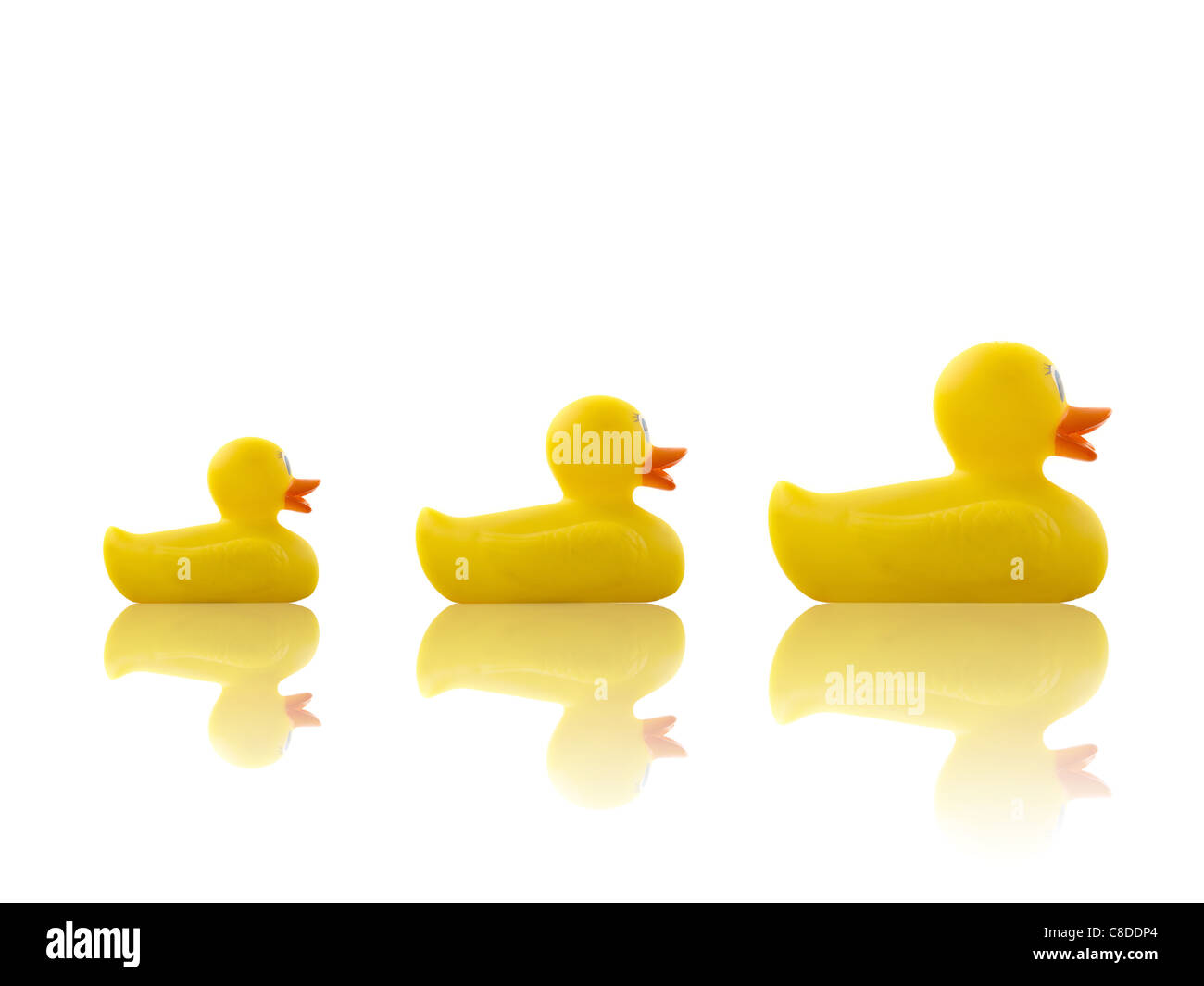 Rubbers ducks isolated on a white background Stock Photo - Alamy