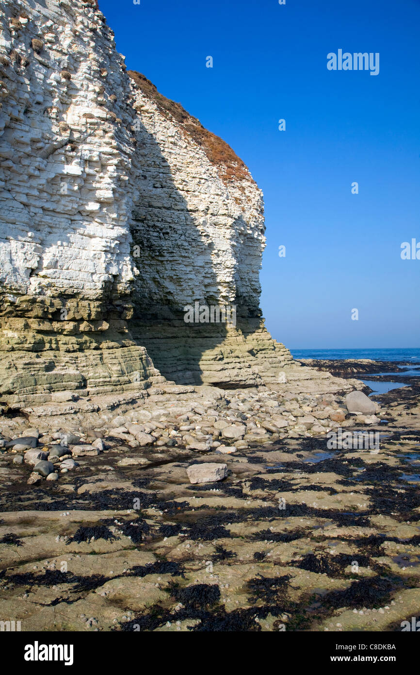 Chalk coastal scenery Flamborough Head Yorkshire England Stock Photo