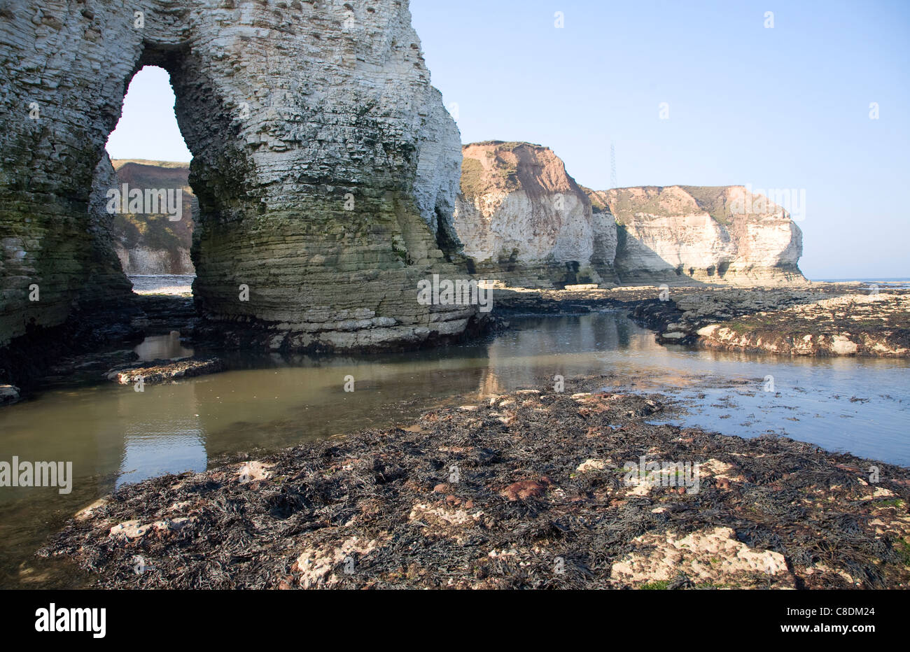 Chalk coastal scenery Flamborough Head Yorkshire England Stock Photo