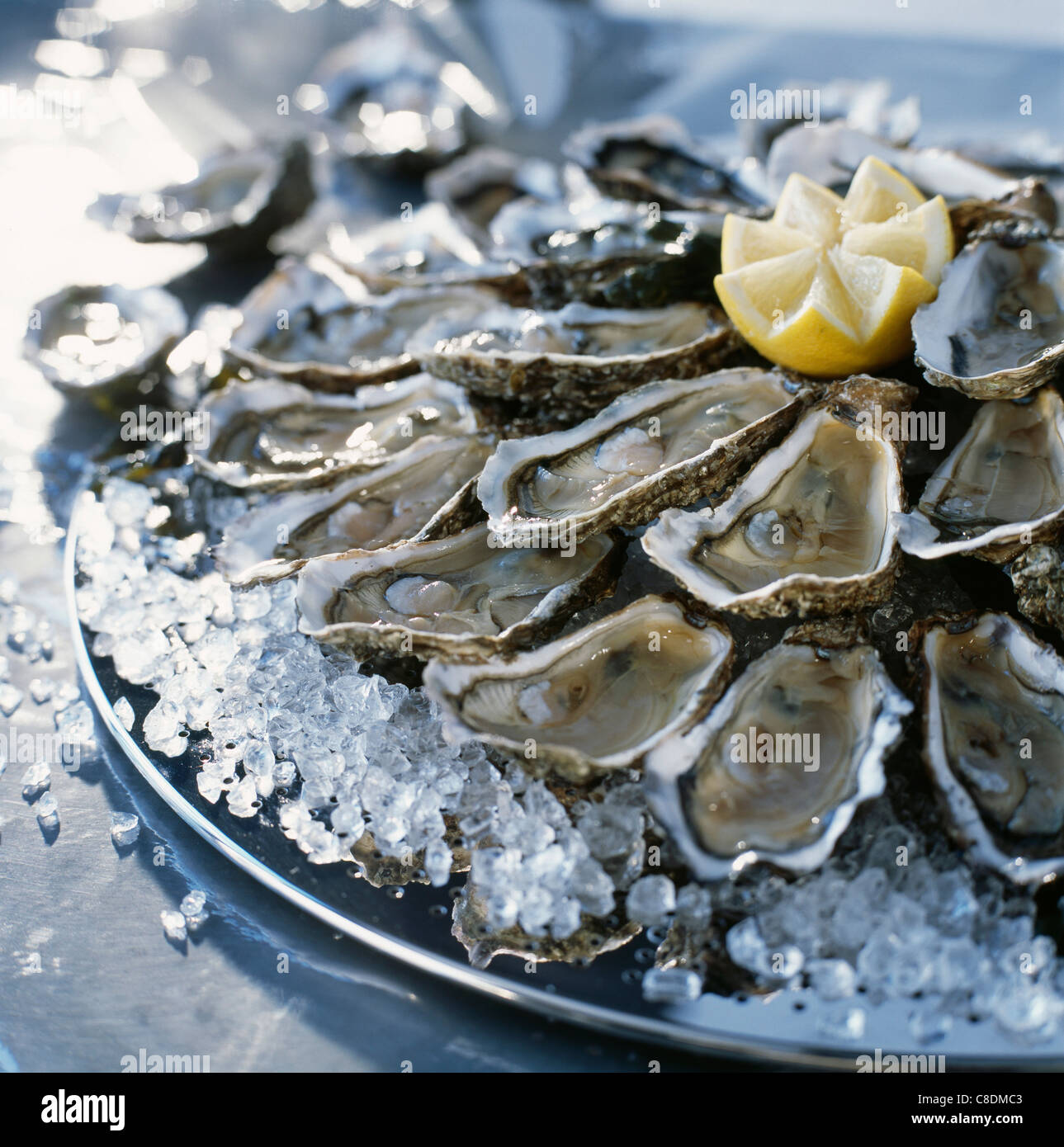 Platter of oysters Stock Photo - Alamy