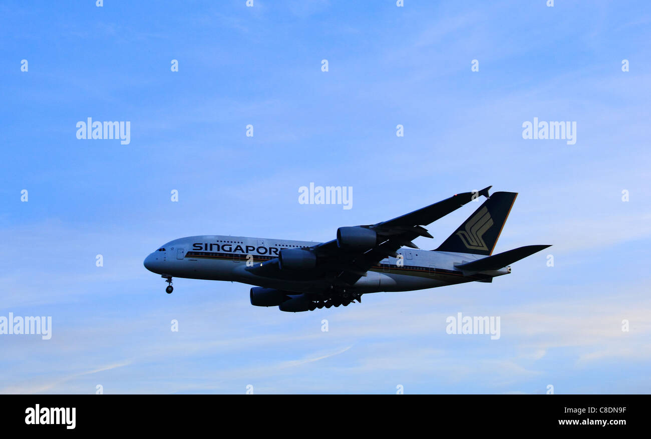 Singapore Airways plane coming in to land at Heathrow airport Stock Photo