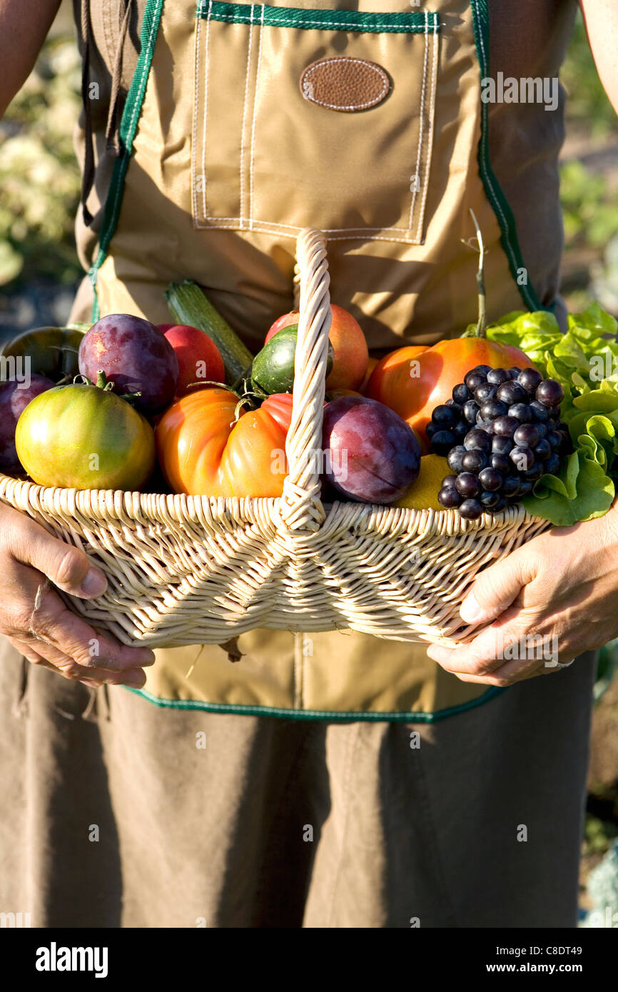 Person holding a basket of vegetables and fruit in the vegetable garden Stock Photo