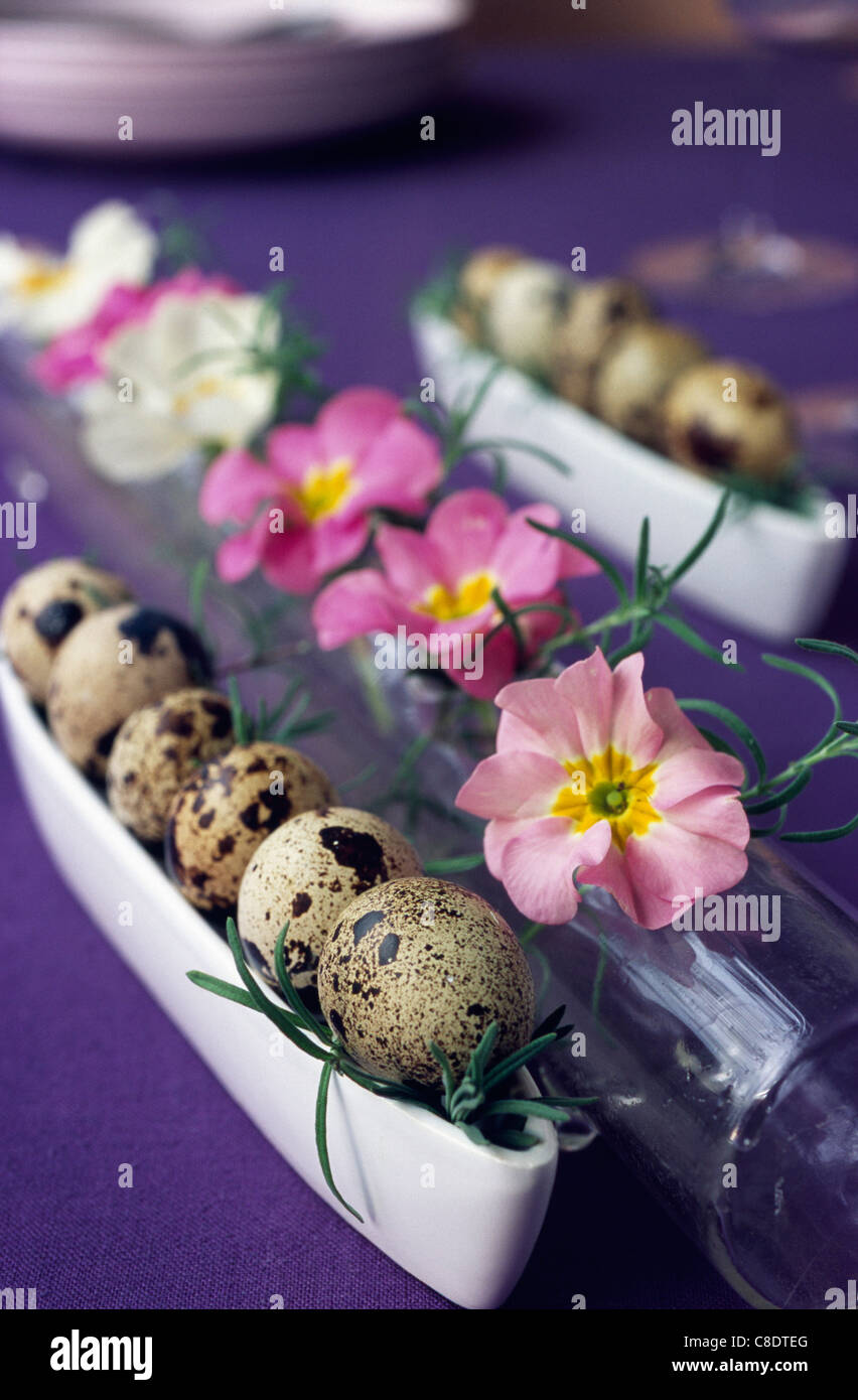 Fool Quail Quails hi-res stock photography and images - Alamy