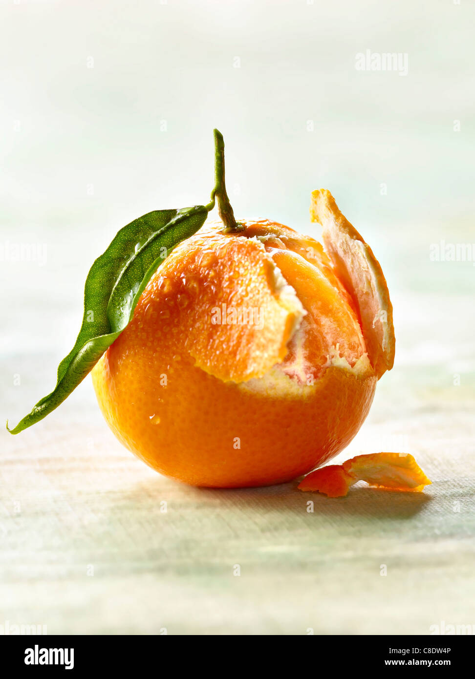 Peeling a clementine Stock Photo Alamy