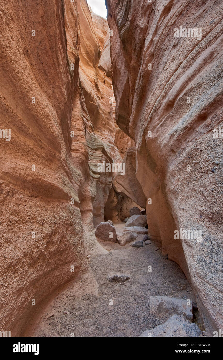 Canyon Canyon