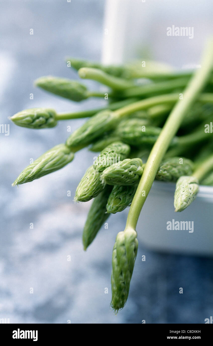 Bunch of raw wild asparagus Stock Photo