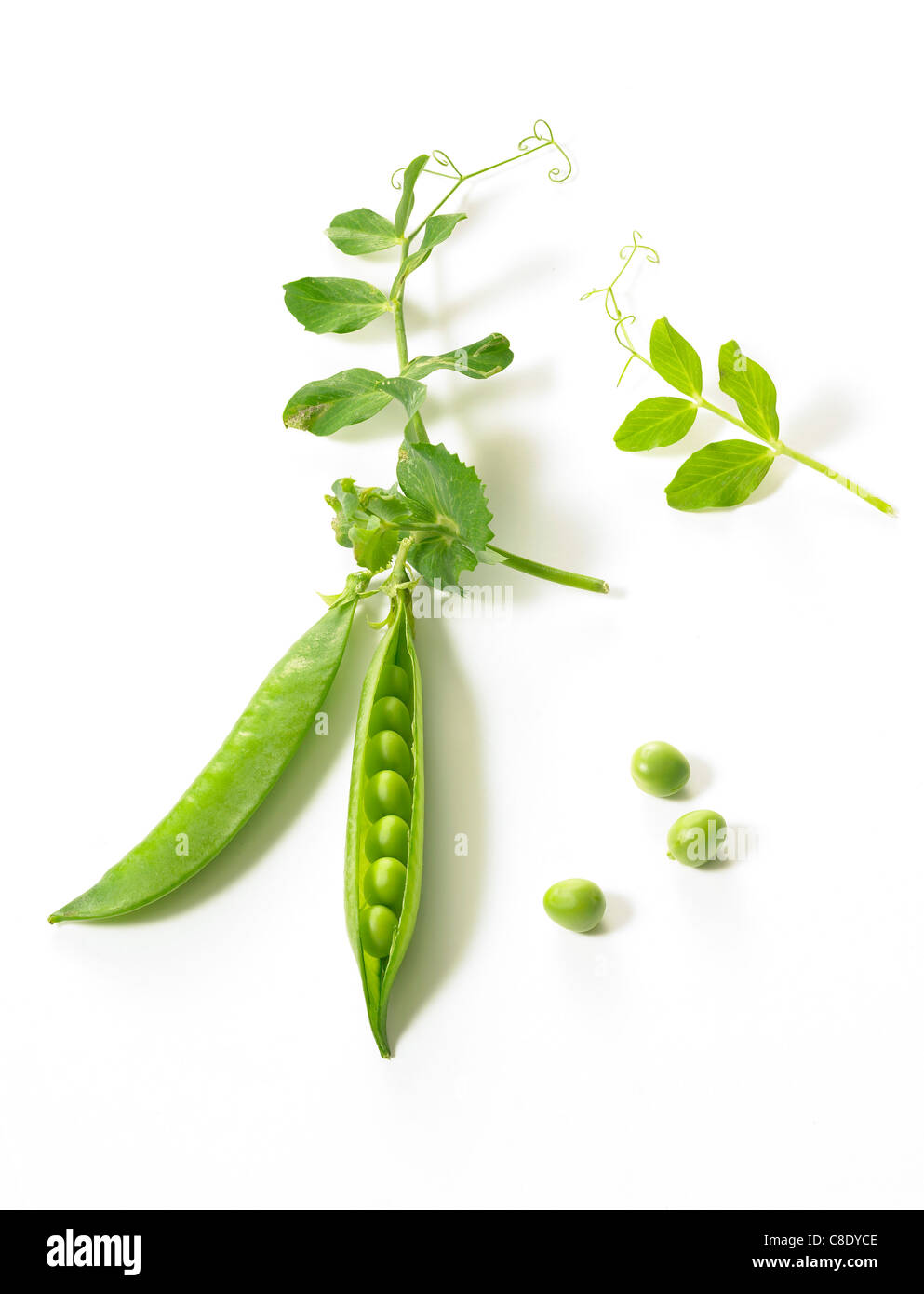 Peas in their pods Stock Photo