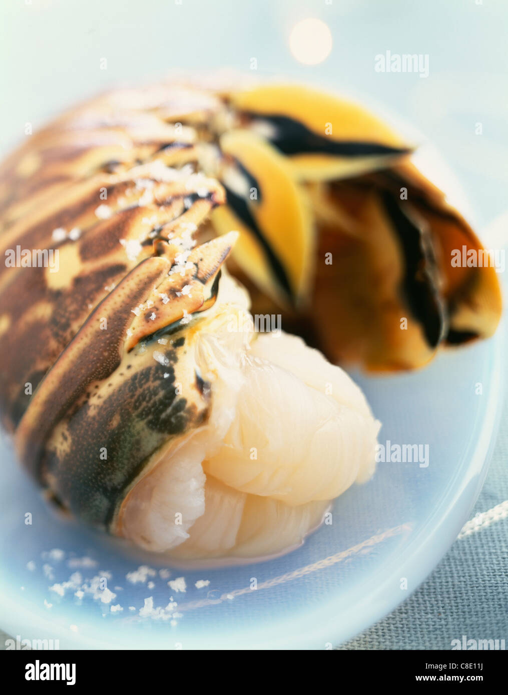 Photo inspiration: Gallery Detail: Raw Spiny Lobster Tail Stock Photo