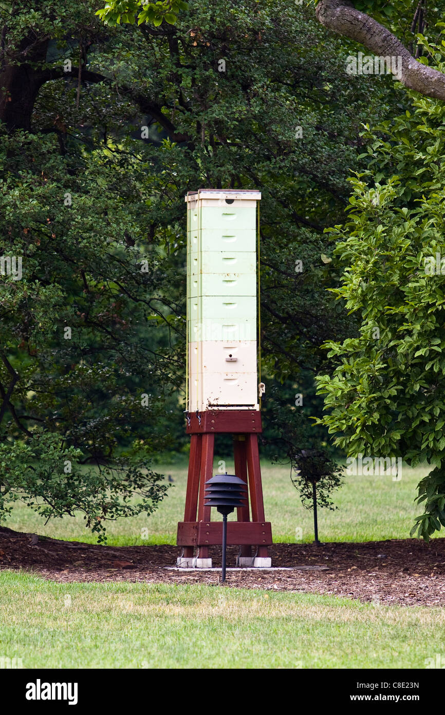 Beehive on the White House lawn, Washington DC Stock Photo