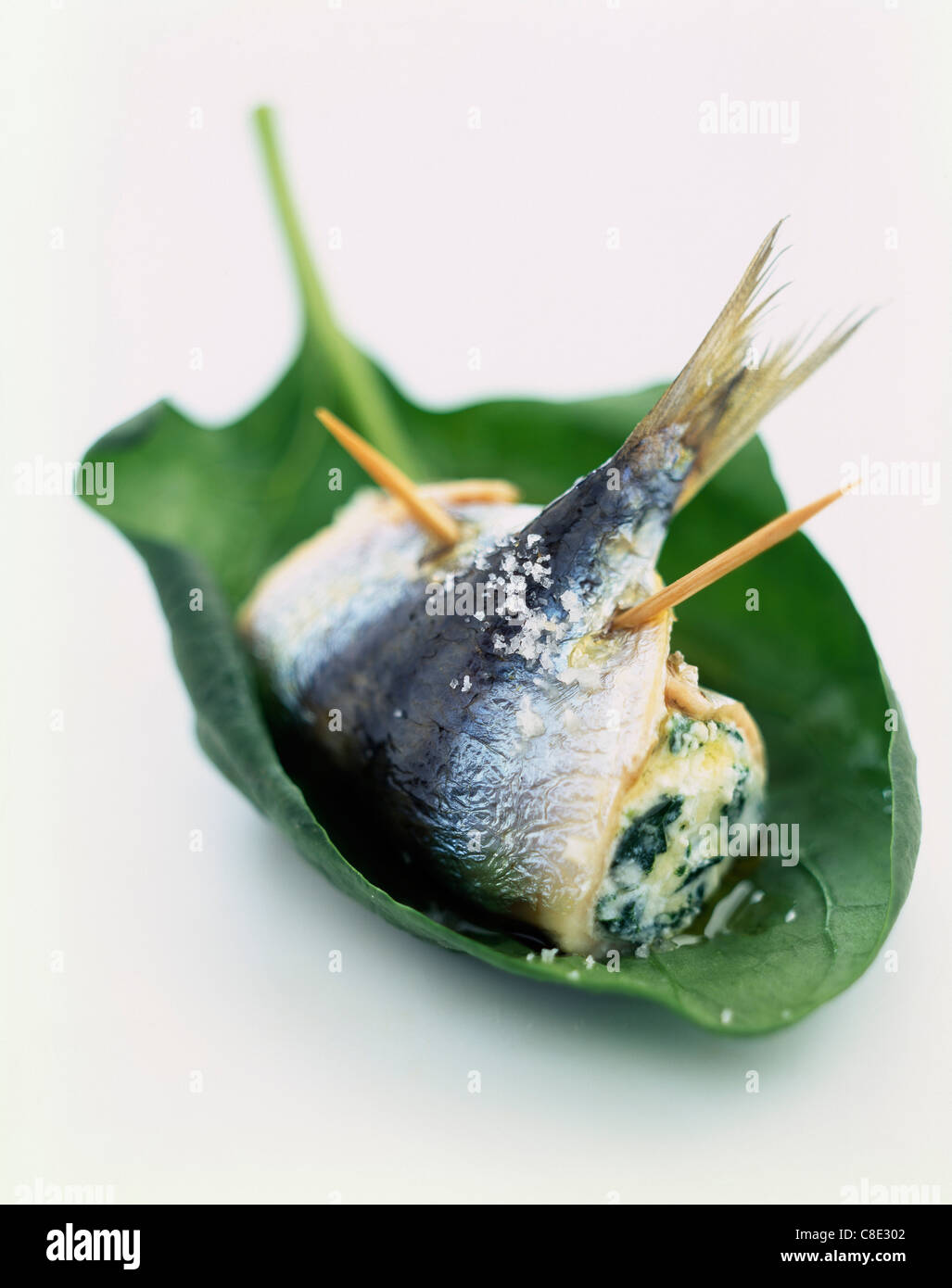Brocciu High Resolution Stock Photography And Images Alamy