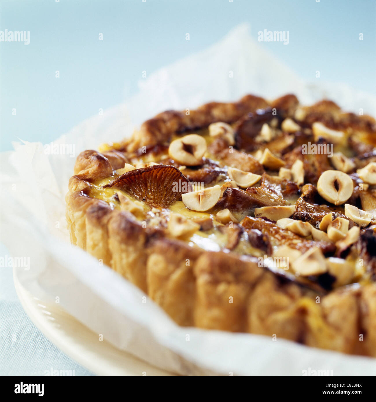 Chanterelle and hazelnut quiche Stock Photo Alamy