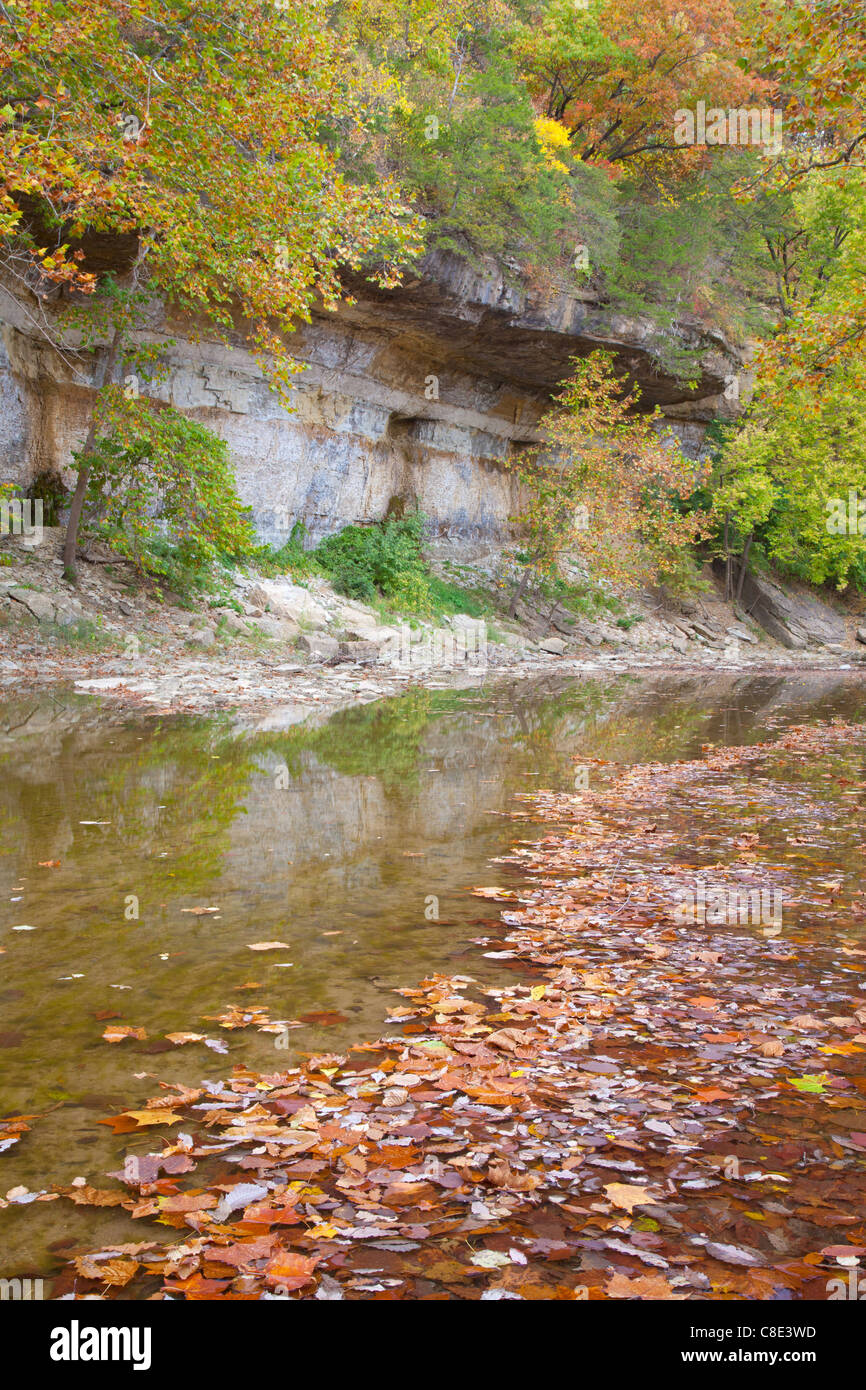 Flint Creek and bluff, Starr's Cave State Preserve, Des Moines County, Iowa Stock Photo