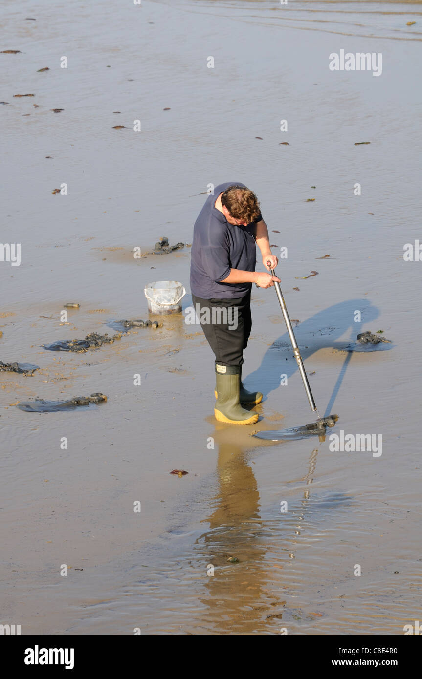 Fisherman on a beach using a bait pump to search for worms on an