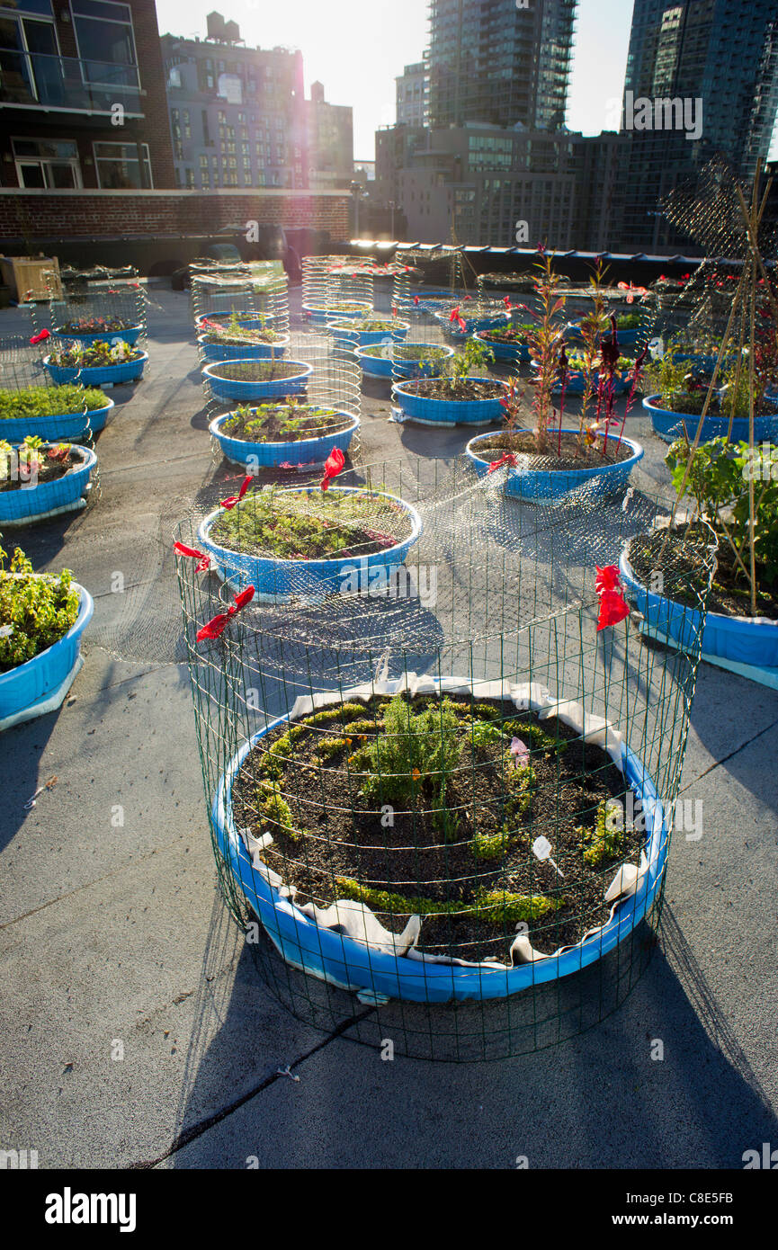 New york city rooftop farming hi-res stock photography and images - Alamy