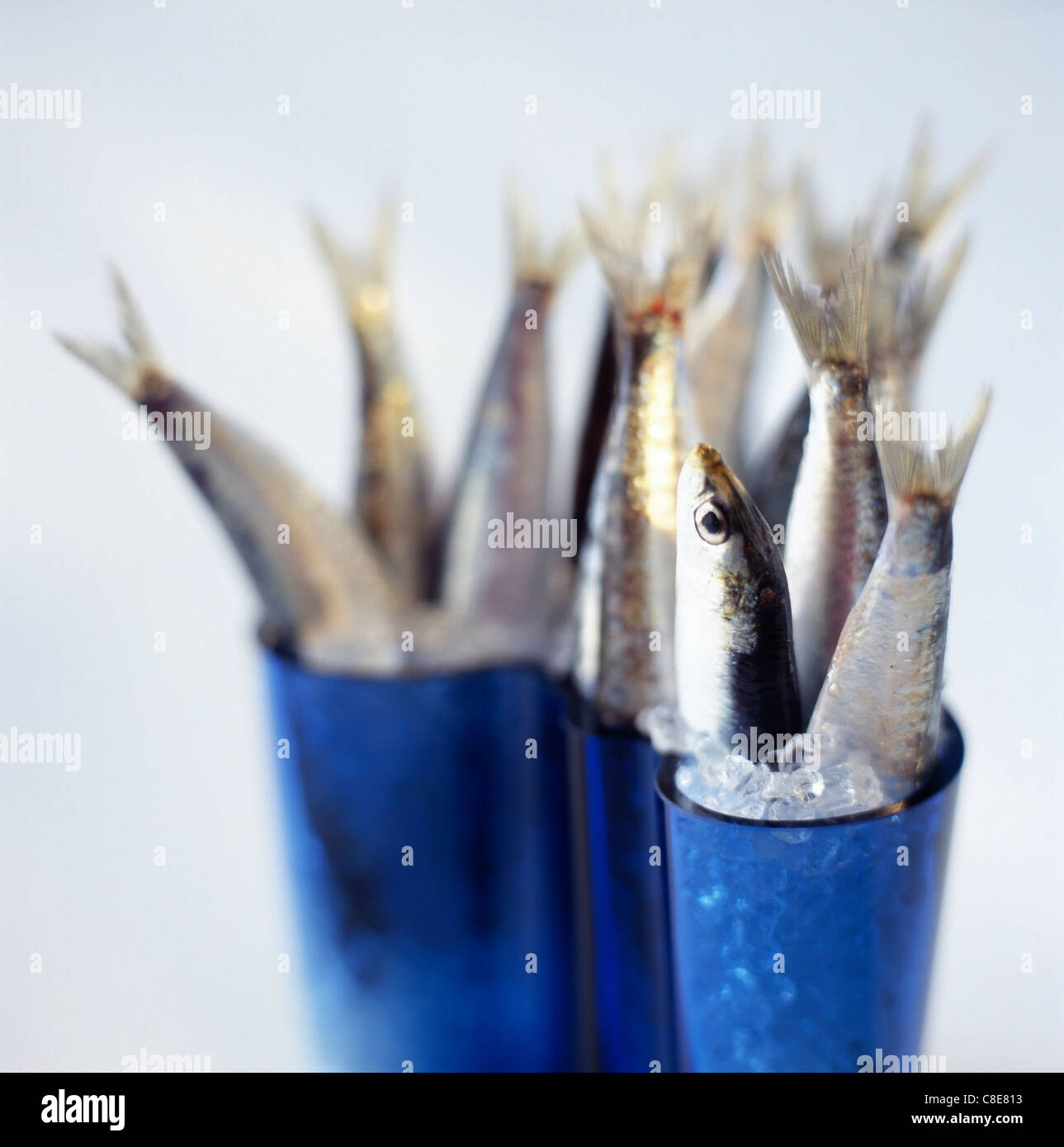 Sardine ice cream hires stock photography and images Alamy