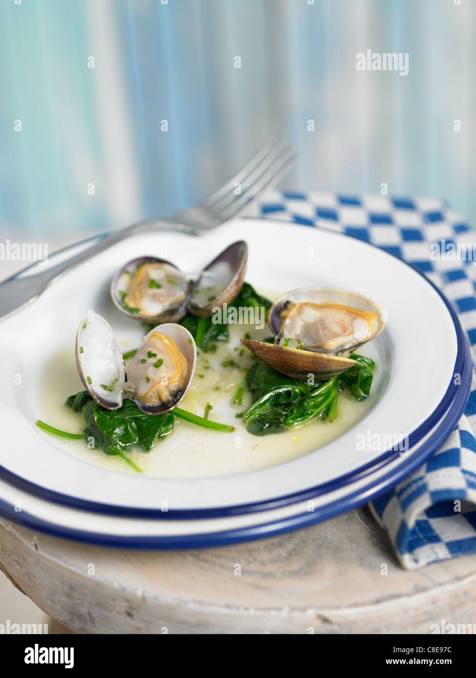 Littleneck clams with cava and Catalan Champagne,spinach Stock Photo