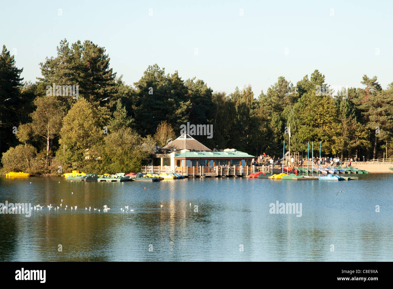 Center Parcs Boathouse lake and pancake house Sherwood Forest pines