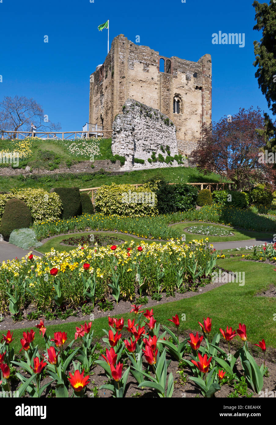 Guildford Castle with spring colour flower beds Guildford Surrey UK Stock Photo