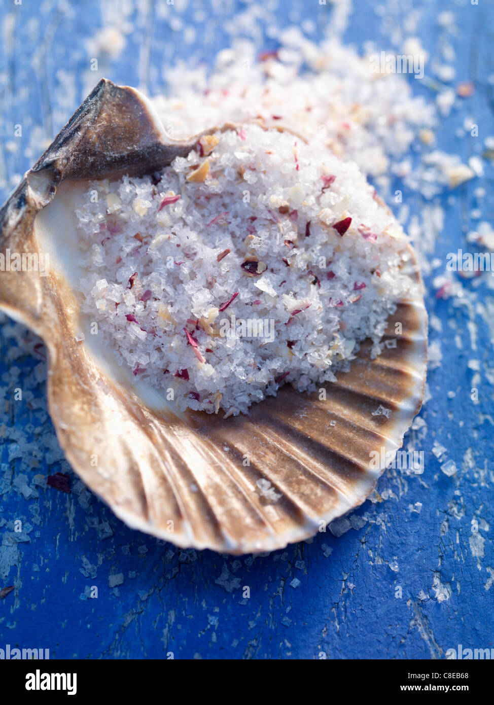 Fleur de sel sea salt in a scallop shell Stock Photo