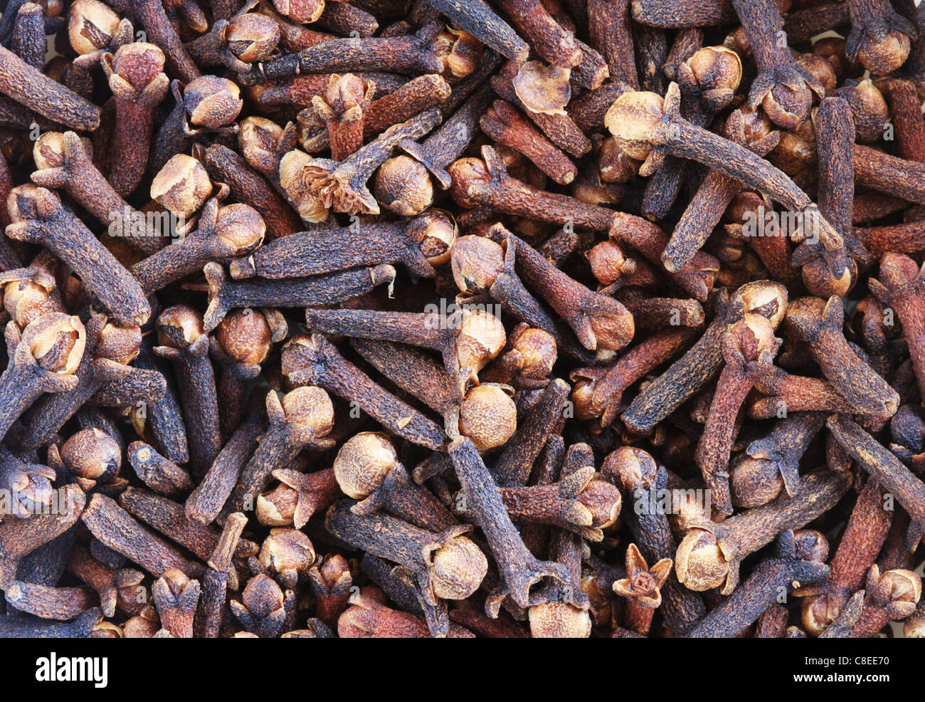 Cloves dried clove hires stock photography and images Alamy