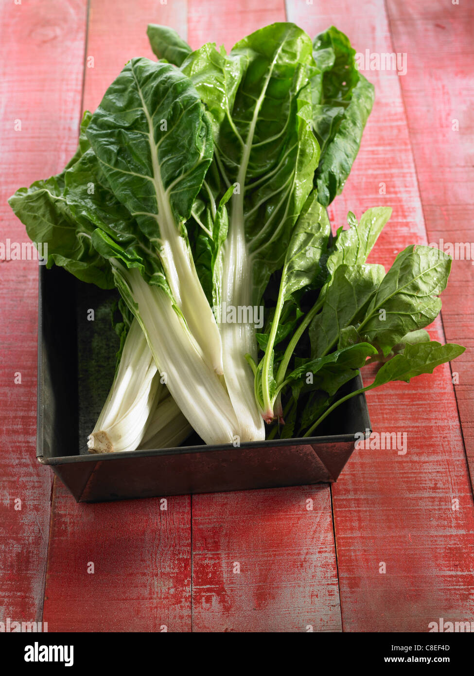 Swiss chard and spinach Stock Photo