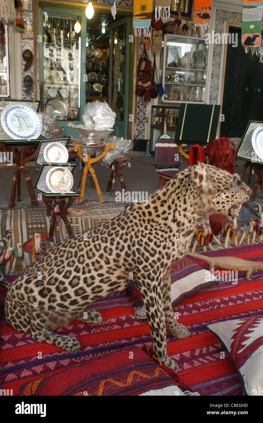 Libya rug hi-res stock photography and images - Alamy