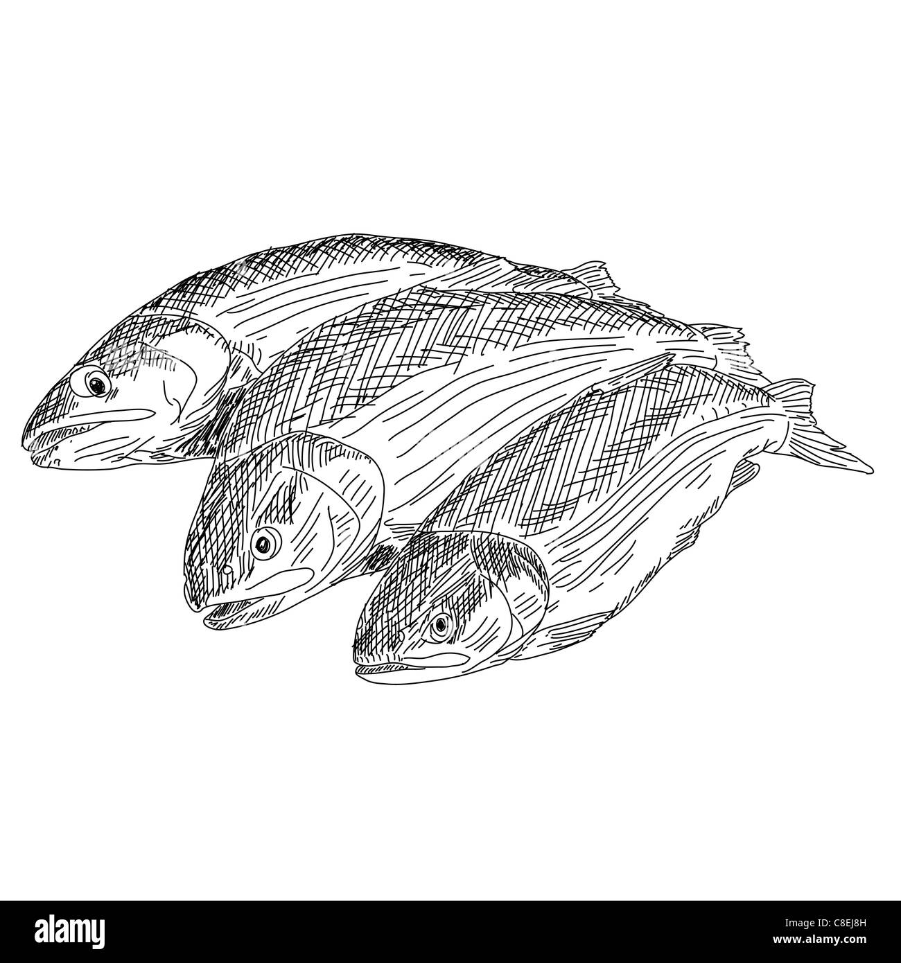 vector drawing hand fish Stock Photo