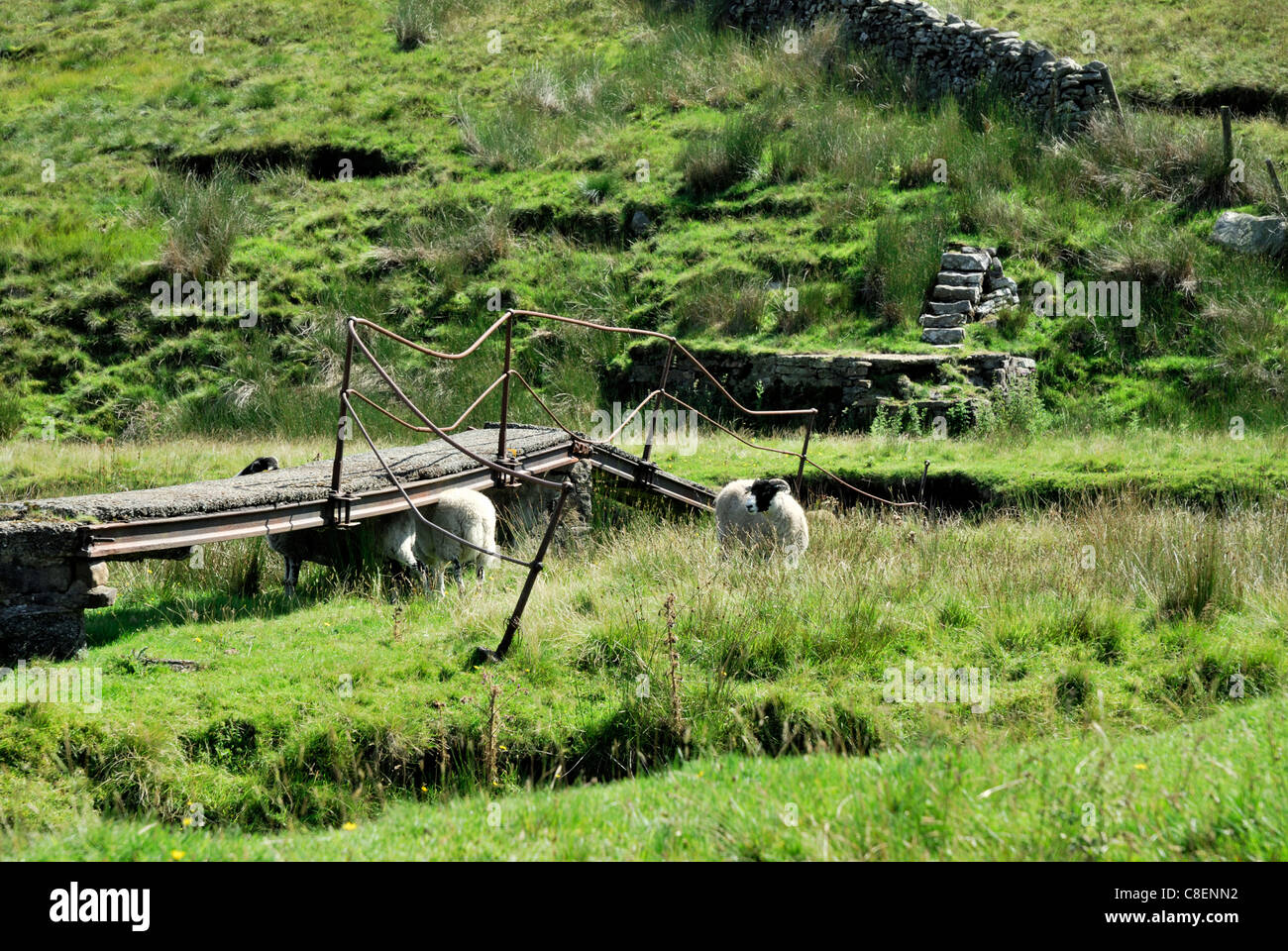 Ingleborough, one of the three peaks in Ribblesdale of Yorkshire Dales
