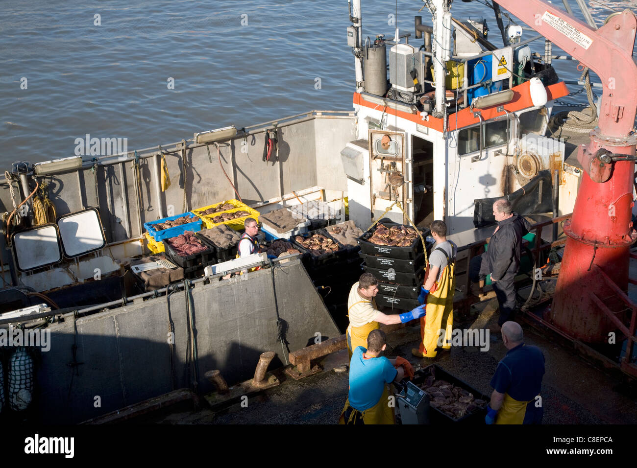 Fishing harbour unloading fresh catch Bridlington, Yorkshire, England Stock Photo Alamy