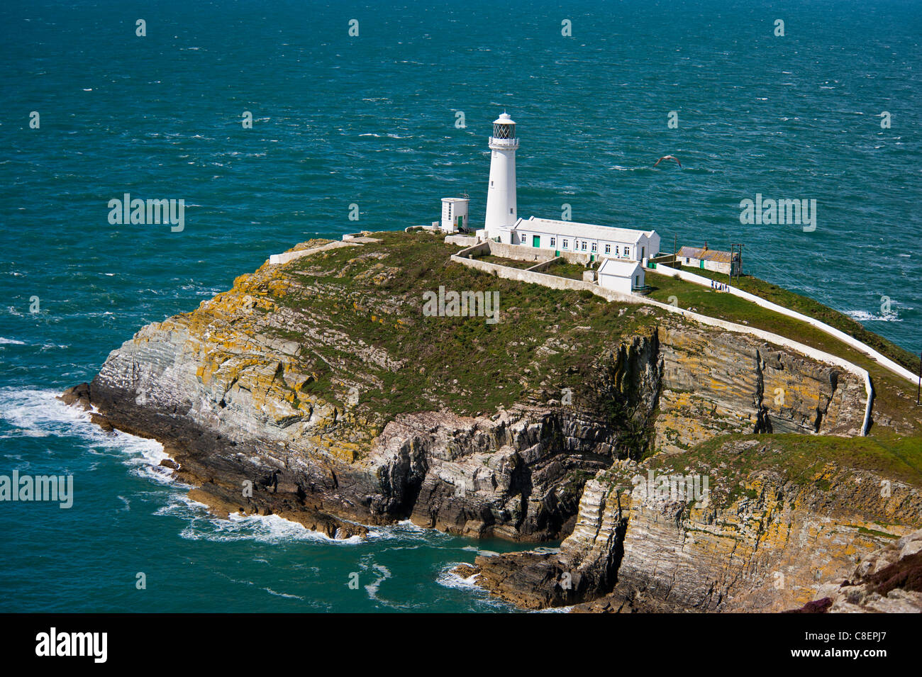 South Stack Holyhead Anglesey North Wales UK Stock Photo Alamy