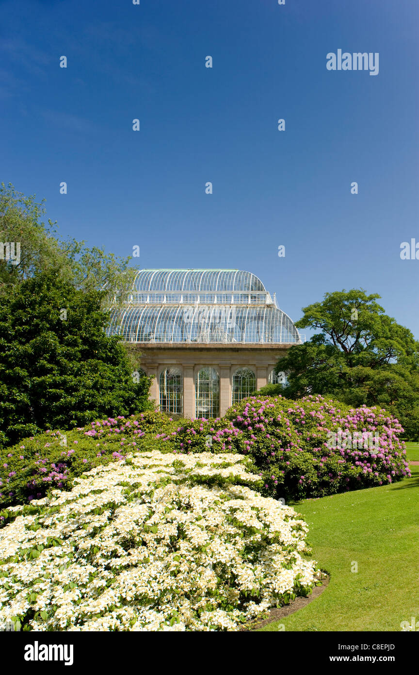 The Palm House surrounded by rhododendrons and hydrangeas at The Royal Botanic Garden, Edinburgh, Scotland, United Kingdom Stock Photo