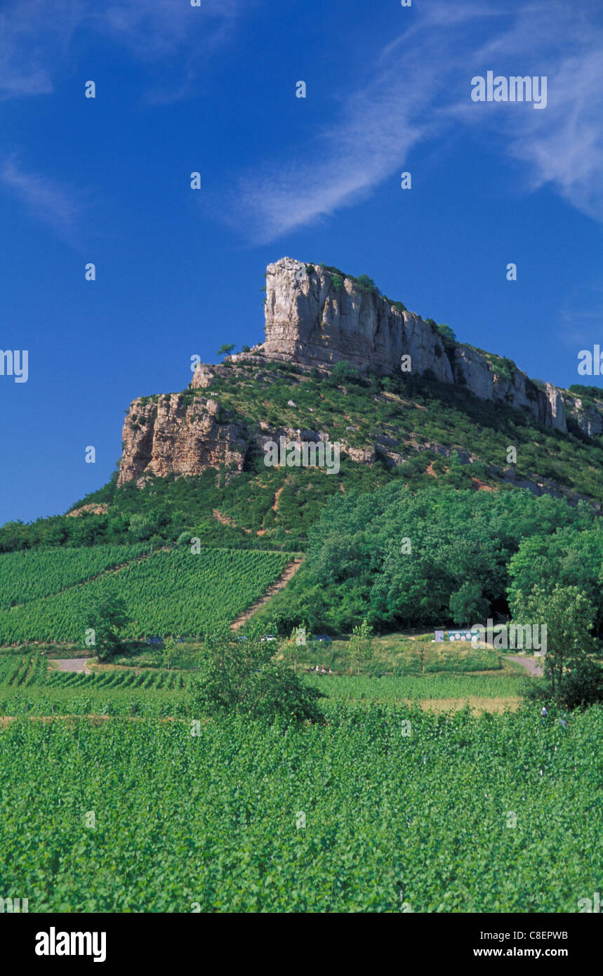 Cliff, Vinyard, Solutre, Burgundy, France, Europe, green, agriculture Stock Photo