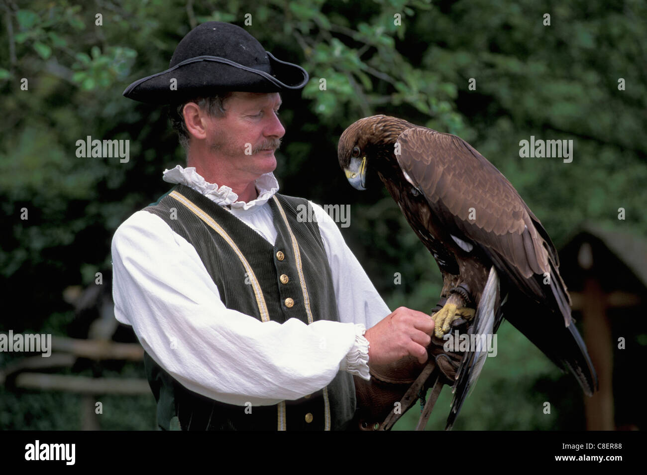 Birds Of Prey Show Chateau La Bourbansais Brittany Bretagne Stock Photo Alamy