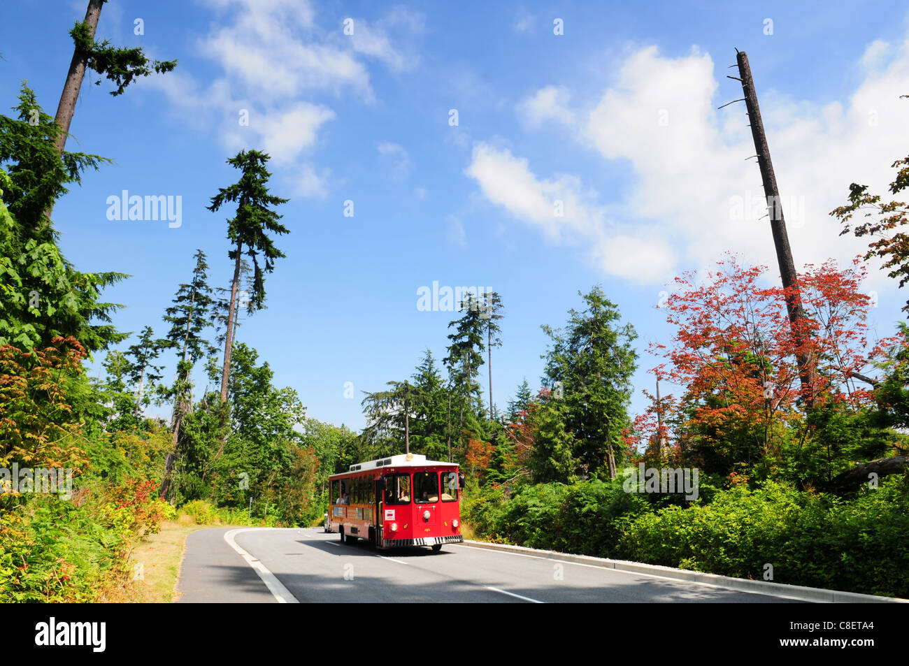 Touristic tram in Stanley park Vancouver, Canada Stock Photo
