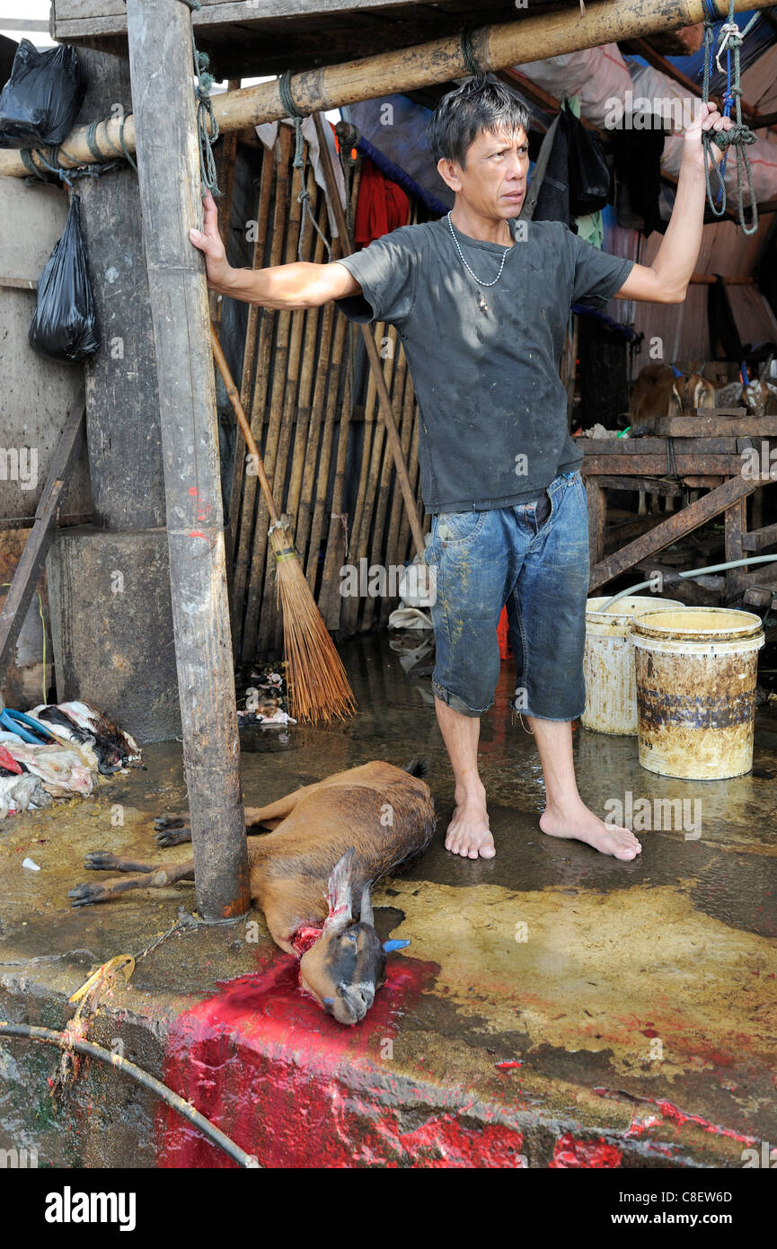 Slaughtering a goat at an Asian market Stock Photo